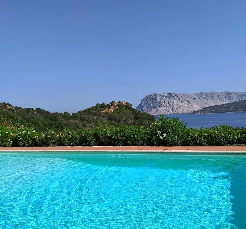Appartamento SAN TEODORO PUNTA EST GIARDINO VISTA MARe Capo Coda Cavallo
