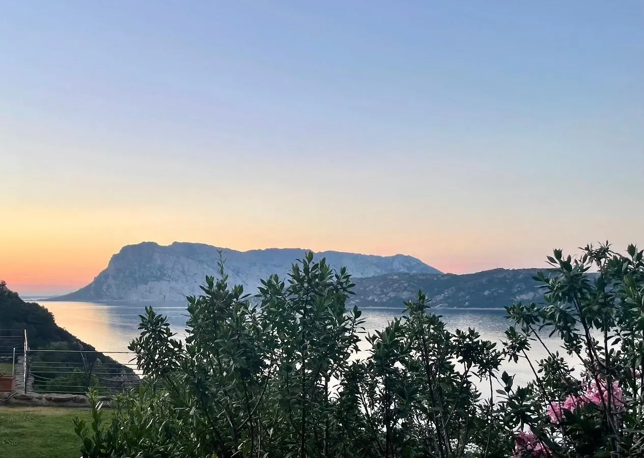 Appartamento SAN TEODORO PUNTA EST GIARDINO VISTA MARe Capo Coda Cavallo